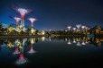 Retour sur image : des arbres géants s'épanouissent à Singapour