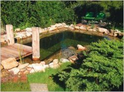 Un mas provençal se dote d'un bassin artificiel à effet naturel (diaporama)