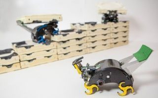 Des robots bâtisseurs inspirés des termites bientôt sur les chantiers de construction ?