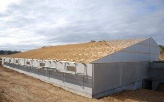 Morbihan : Recticel Insulation dote un bâtiment porcin de son dernier panneau d'isolation thermique