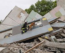 Un immeuble en cours de démolition à La Courneuve s'effondre sur un autre et fait un blessé grave