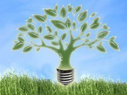 Audit énergétique : les entreprises obtiennent un délai transitoire de 7 mois