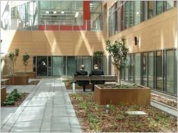 Eclosions de jardins d'intérieur dans les bâtiments tertiaires