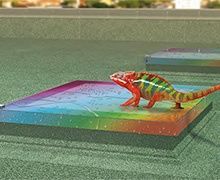 Fenêtre de toit plat : osez la couleur avec Fakro