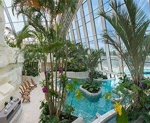 Le conseil d'État valide le pourvoi du groupe Pierre et Vacances pour le Center Parcs à Roybon