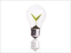 Précarité énergétique : Ségolène Royal prête à offrir des ampoules basse consommation