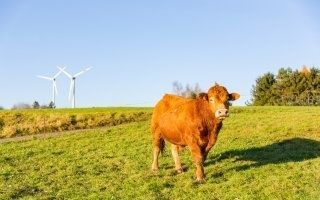 Les énergies renouvelables, une opportunité pour les agriculteurs