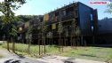 Des bureaux dans les arbres à Anglet