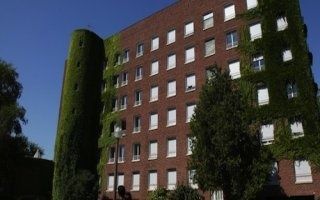 Un campus se transforme en forêt urbaine