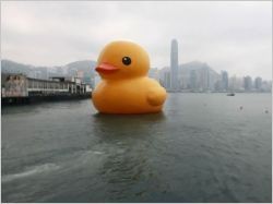 Un canard géant en plein milieu de la baie de Hong-Kong