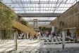 Serres et Verrières : des structures à la recherche de finesse et de légèreté