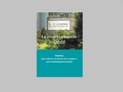 Le progrès s'appelle Dédé (selon Dominique Bidou)