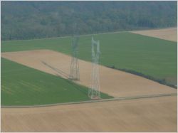 Une mini-ferme hors sol prend racine sur une friche