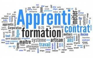 Les campagnes en faveur de l'apprentissage se multiplient
