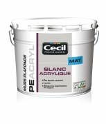 Nouvelles peintures chantiers blancs Cecil Professionnel