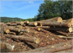 L'engouement pour le chauffage au bois ne se dément pas