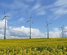Éolien : les industriels français veulent des turbines plus grandes pour réduire leurs coûts