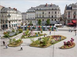 Quelles villes investissent le plus dans le végétal ?