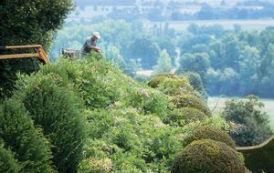 Les topiaires jouent avec l'air et la lumière