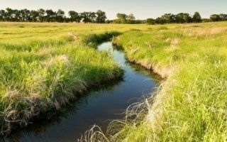 La biodiversité ordinaire de retour dans les carrières