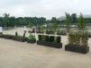 L'UNEP fête ses 50 ans aux Tuileries