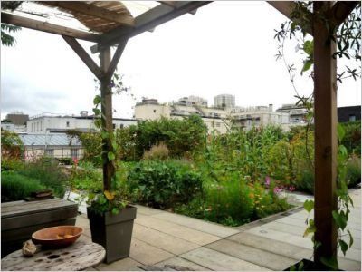Un jardin solidaire sur un toit parisien