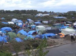 Les travaux de réhabilitation de l'ex-jungle de Calais ont démarré