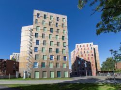 Des tours de résidences étudiantes toutes en "bois norvégien"