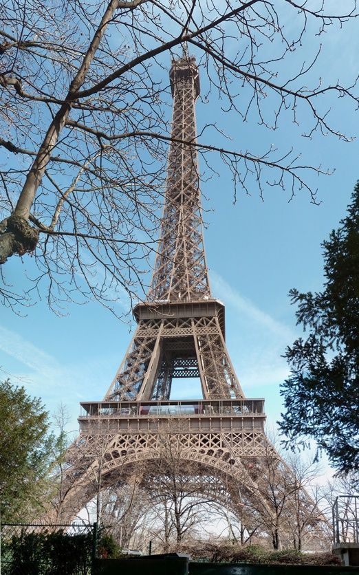 La Tour Eiffel végétalisée ? Vraisemblable mais pas encore vrai