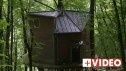 Une cabane écologique perchée dans un arbre en zone Natura 2000  menacée de destruction