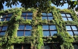 Budget participatif : les Parisiens optent pour le vert