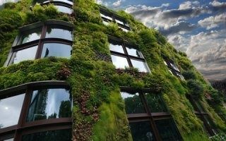 Les façades végétales pour une ville verte