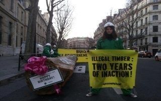 Opération coup de poing de Greenpeace contre le commerce de bois illégal
