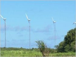 L'éolien ultramarin bénéficiera d'un tarif d'achat avantageux