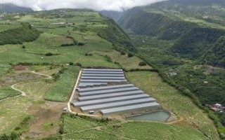 Des serres anticycloniques photovoltaïques inaugurées à La Réunion