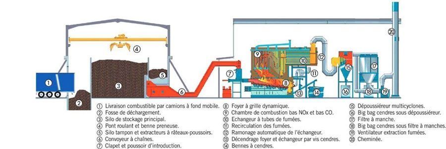 La biomasse en fête en cette fin d'année