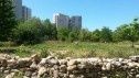 Agriculture urbaine et joyeuse sur un délaissé autoroutier de Nanterre
