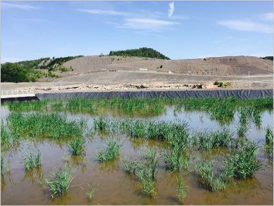 Une installation écologique pour traiter les eaux minières