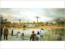 Beckmann N'Thépé dévoile son projet de zoo à Saint-Pétersbourg (diaporama)