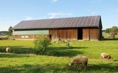 Senersun veut " servir le marché photovoltaïque français "