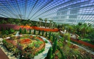 Les stores extérieurs du " Gardens by the Bay " protègent la biodiversité