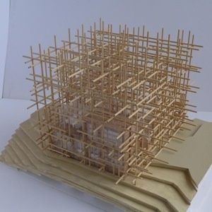 Sou Fujimoto, architecte pour la Serpentine Gallery et Solo Houses