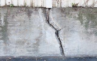 Bientôt un béton " auto-cicatrisant " grâce à un champignon ?