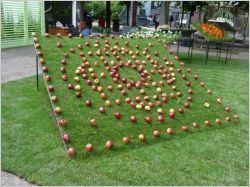 Les professionnels ont leur journée au salon Jardins, Jardin