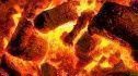En 2014, le Bois énergie serait deux fois plus taxé que le gaz