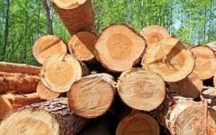 Second appel à projets biomasse-énergie en Ile-de-France