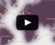 Saint-Gobain 350 - Pavillons : Tour du monde