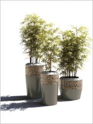 Les jardinières XXXL de Marc Aurel (diaporama)