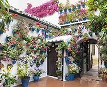 Le pot de fleurs dans la cour, source d'ennuis