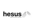 Bilan 2014 : Hesus une entreprise de croissance